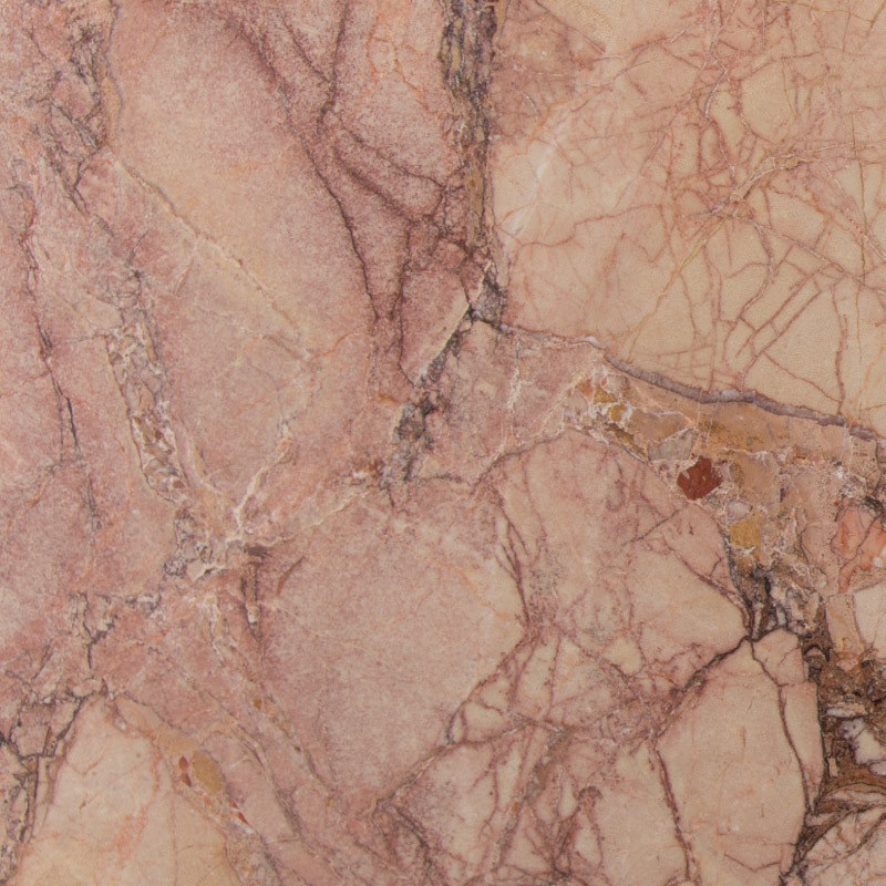 BRECCIA PERNICE CHIARA - 