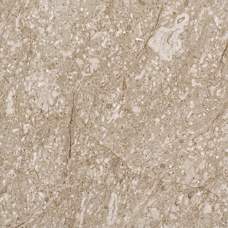 LYCA BEIGE - 